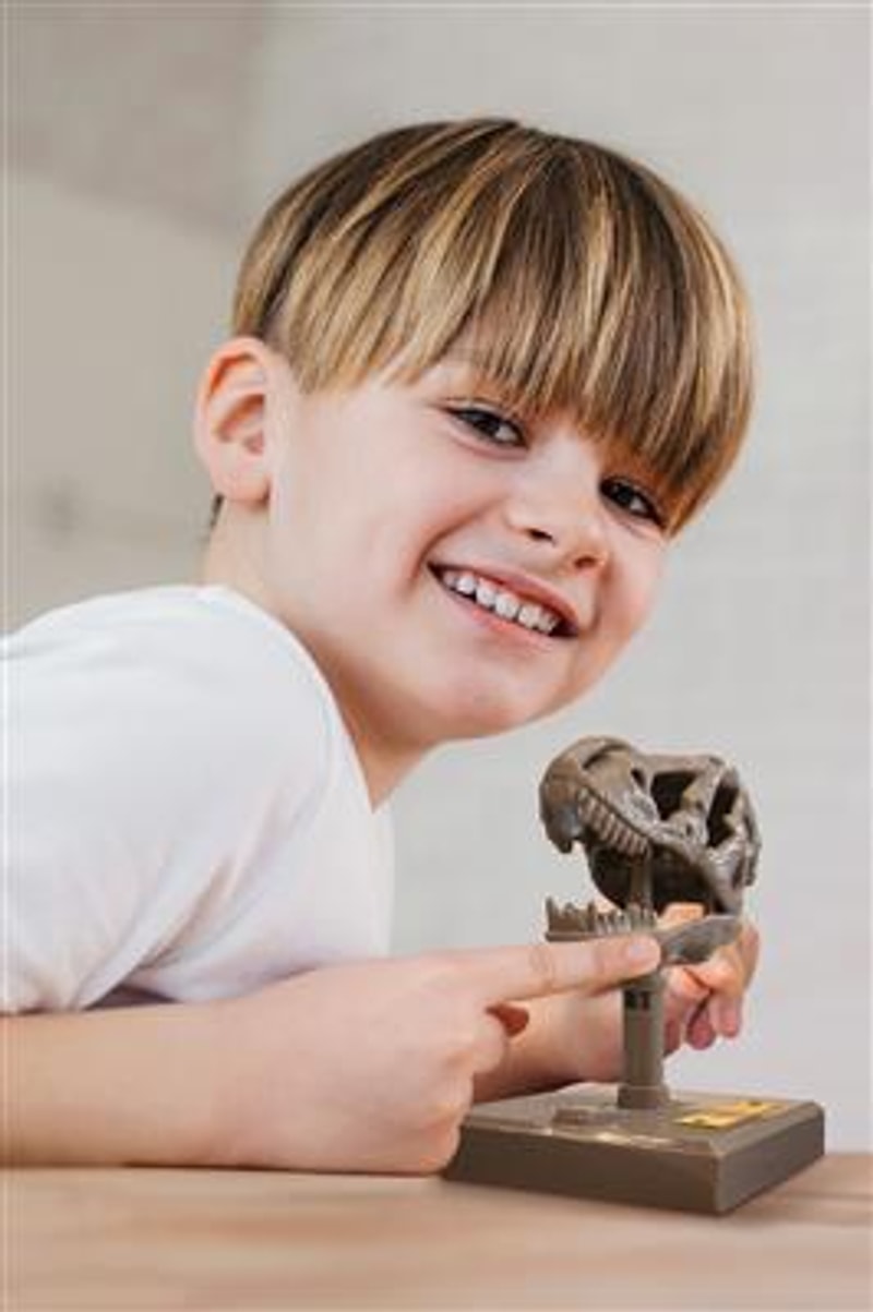Lachend kind drukt op de knop van de bruine T-rex-schedel die op tafel staat.
